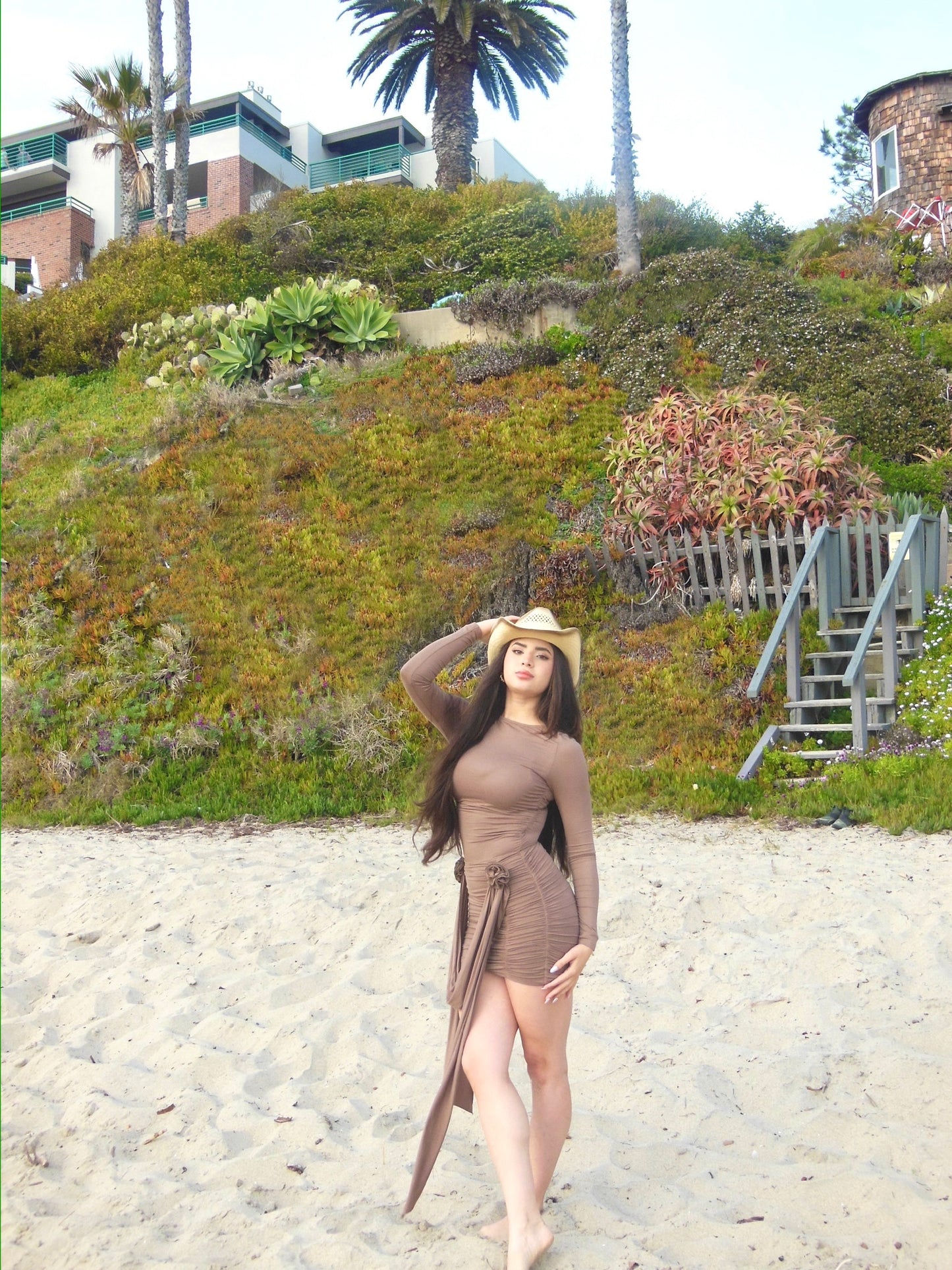 Mocha Dress