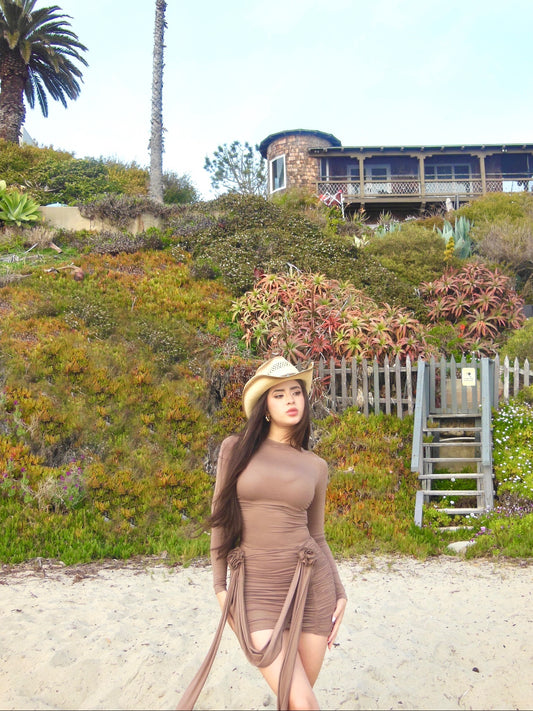 Mocha Dress